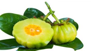 با میوه گارسینیا کامبوجیا آشنا شوید