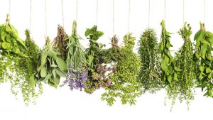 با این دمنوش های گیاهی خوابی راحت داشته باشید